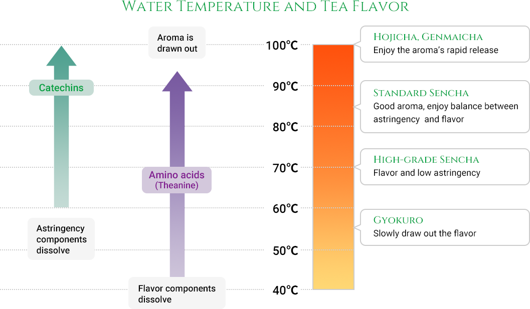 Water Temperature and Tea Flavor