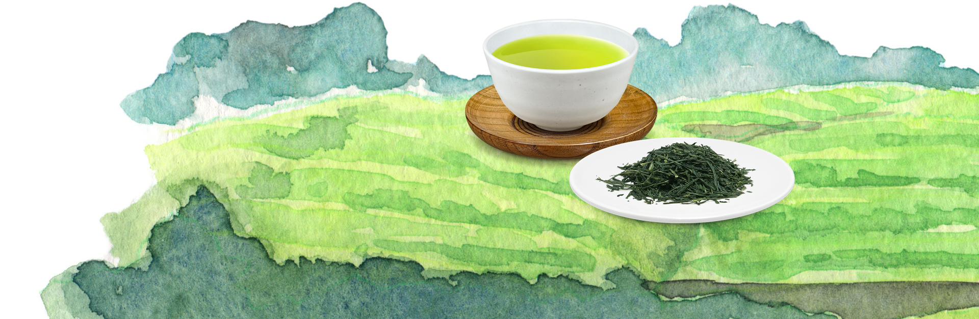 GREEN TEA image