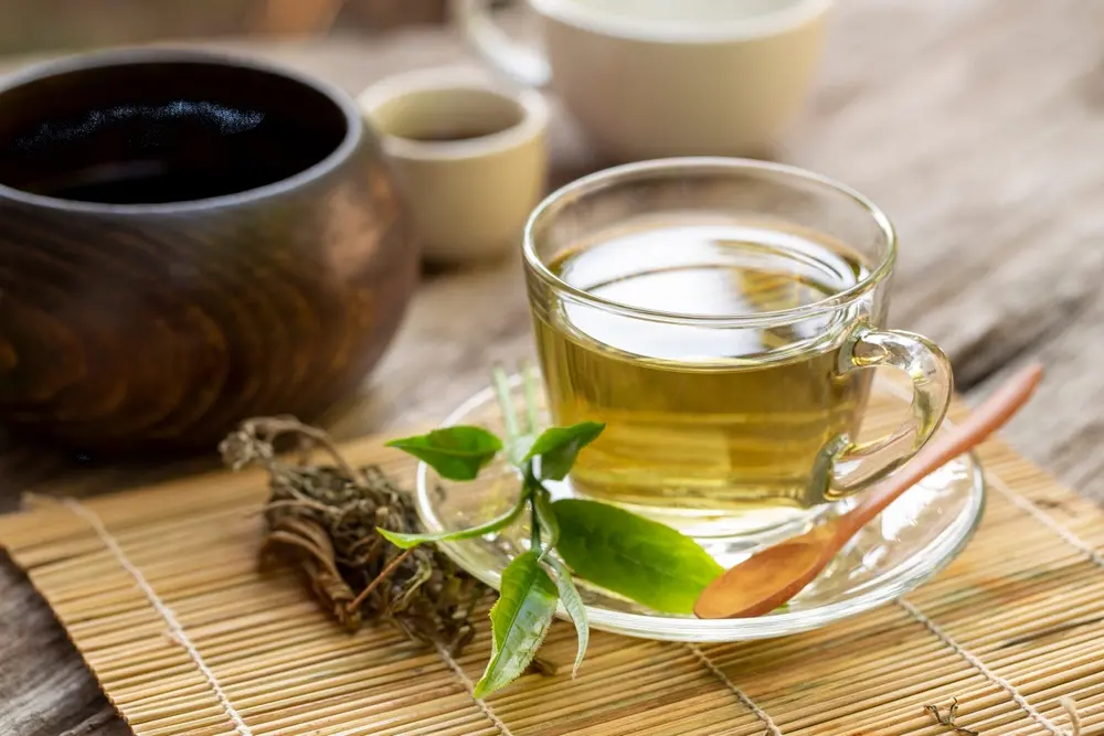  How Green Tea May Support Focus and Mental Performance