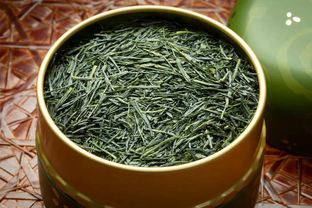 The Evolution of Green Tea: Sencha and Gyokuro